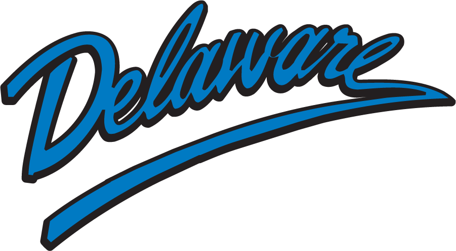 Delaware Blue Hens 1999-2009 Wordmark Logo DIY iron on transfer (heat transfer)